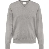 Gant Ganttil mænd. 8030562 Klassisk grå trøje med V-hals (S), Casual, Bomuld, Lange ærmer