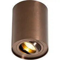 QAZQA Smart loftspot mørk bronze drejelig og vipbar inkl. Wifi GU10 50mm - Rondoo Up