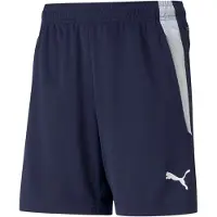 Puma Teamliga Training Shorts Jr Peacoat-White, størrelse 140 cm