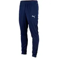 Puma Teamrise Poly Training Bukser