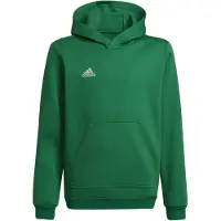 Adidas Hættetrøje - Ent22 Hoody Y - Teagrn/White - - 16 år (176) - Hættetrøje