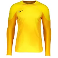 Nike Målmandstrøje Dri-FIT ADV Gardien IV L/S - Gul/Guld/Sort, størrelse Large