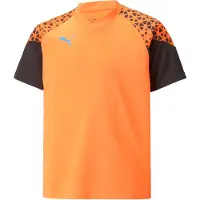 Puma Trænings T-Shirt IndividualCUP - Orange/Sort Børn, størrelse 164 cm