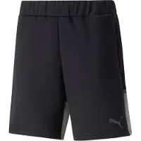 Puma Shorts Teamcup Casuals - Sort, størrelse X-Large