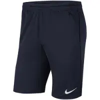Nike Dri Fit Park Knit Shorts