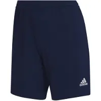 Adidas Entrada 22 Training Shorts