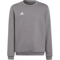 Adidas Sweatshirt Entrada 22 - Grå Børn, størrelse 128 cm