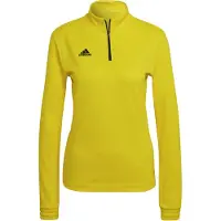 Adidas Entrada 22 Training Sweatshirt