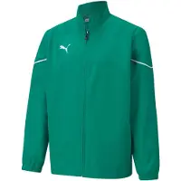 Puma Sportsjakke 'TeamRise' grøn / hvid