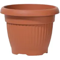 Prosperplast Vazonas TERRA TERRAKOTA 20x15,5 cm, 3 L