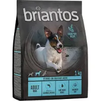 Briantos Adult Mini Laks & Kartoffel - KORNFRI - 4 x 1 kg