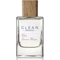 Clean Sel Santal Eau de Parfum 100ml Black