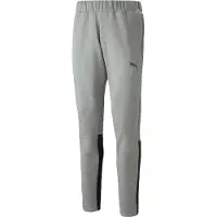Puma Træningsbukser teamCUP Casuals - Grå, størrelse X-Small