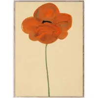 Paper Collective Orange Vallmo plakat 30x40 cm
