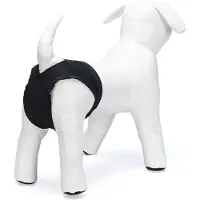 Beeztees Løbetidsunderbukser - XXL: 47-60 cm
