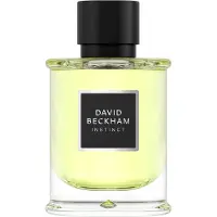David Beckham Instinct Eau de Parfum 75 ml