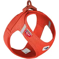 Curli Vest Harness Clasp Air-Mesh - Sol orange - S