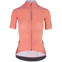 Q36.5 Pinstripe Pro Kortærmet Trøje
