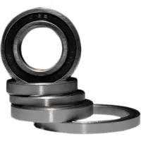 BLACK BEARING Ceramic Lejer