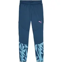 Puma Sportsbukser 'IndividualFINAL' navy / azur / lyserød