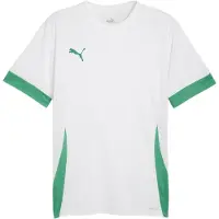 Puma Trænings T-Shirt teamGOAL - Hvid/Grøn, størrelse Large