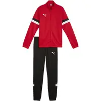 Puma Træningsdragt 'TeamRise' grå / rød / sort / offwhite