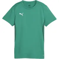 Puma Teamgoal Jersey Wmn Sport Green-White, størrelse X-Small