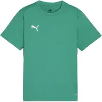 Puma Funktionsskjorte 'TeamGoal' grøn / hvid