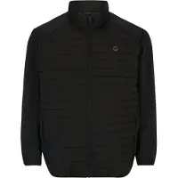 Jack & Jones Multi Quilted Collar Plus Size Jakke
