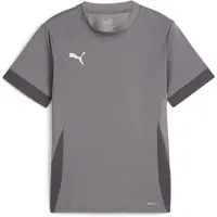 Puma Trænings T-Shirt teamGOAL - Grå/Hvid Børn, størrelse 164 cm