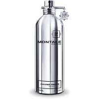 Montale Chypré Fruité Vapo 100ml Eau De Parfum