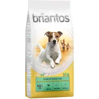 Briantos Adult Mini Lam & Ris - 14 kg