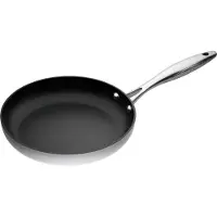 Scanpan 24 cm stegepande i CTX