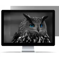 Natec Owl, 35,6 cm (14), 16:9, Laptop, Rammeløst display privatlivsfilter, Privatliv