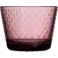 Iittala Tundra glas 16 cl 2-pak Lyng