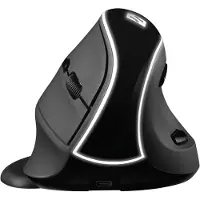 Sandberg Pro - Lodret mus - ergonomisk - optisk - 6 knapper - trådløs - 2.4 GHz - trådløs modtager (USB) - boks