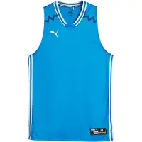 Puma Fodboldtrøje 'Hoops Team Game' blå / azur / hvid