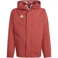 Adidas ENTRADA 22 AW jakke IK4013