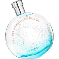 Hermès Paris Eau des Merveilles Bleue Eau de Toilette 100 ml