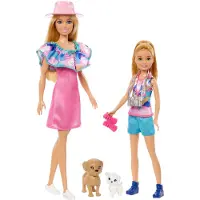 Barbie Stacie To The Rescue Pack 2 Sisters Dukke