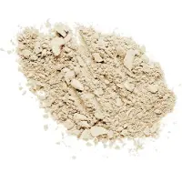 wet n wild Photo Focus Loose Setting Powder Translucent 20g