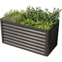 PRIMEYARD 120 x 60 x 60 cm Højbed, stål, antracitgrå