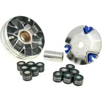 Polini H.vision/wallaroo Variatorkit