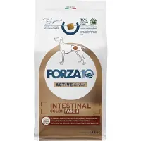 Forza10 Active Line - Intestinal Colon fase 2 kroketter til hunde - 4 kg