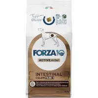Forza10 Active Line - Intestinal Colon Fase 1 til hunde - Økonomipakke: 2 x 10 kg