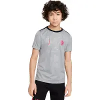 Nike Chelsea Trænings T-Shirt Dri-FIT Academy Pro Pre Match 3. - Grå/Sort/Pink Børn - , størrelse XL: 158-170 cm