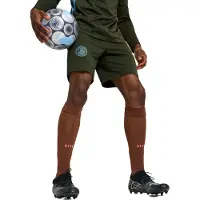 Puma Manchester City Træningsshorts - Grøn/Blå - , størrelse X-Small