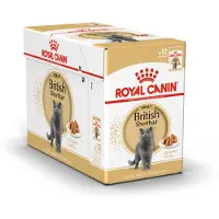 Royal Canin British Shorthair Adult vådfoder til katte (i sauce)