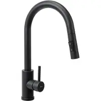 REA FRESH BLACK KØKKENVANDE SKU -B9147