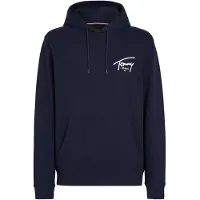 Tommy Hilfiger Reg Entry Graphic Hættetrøje